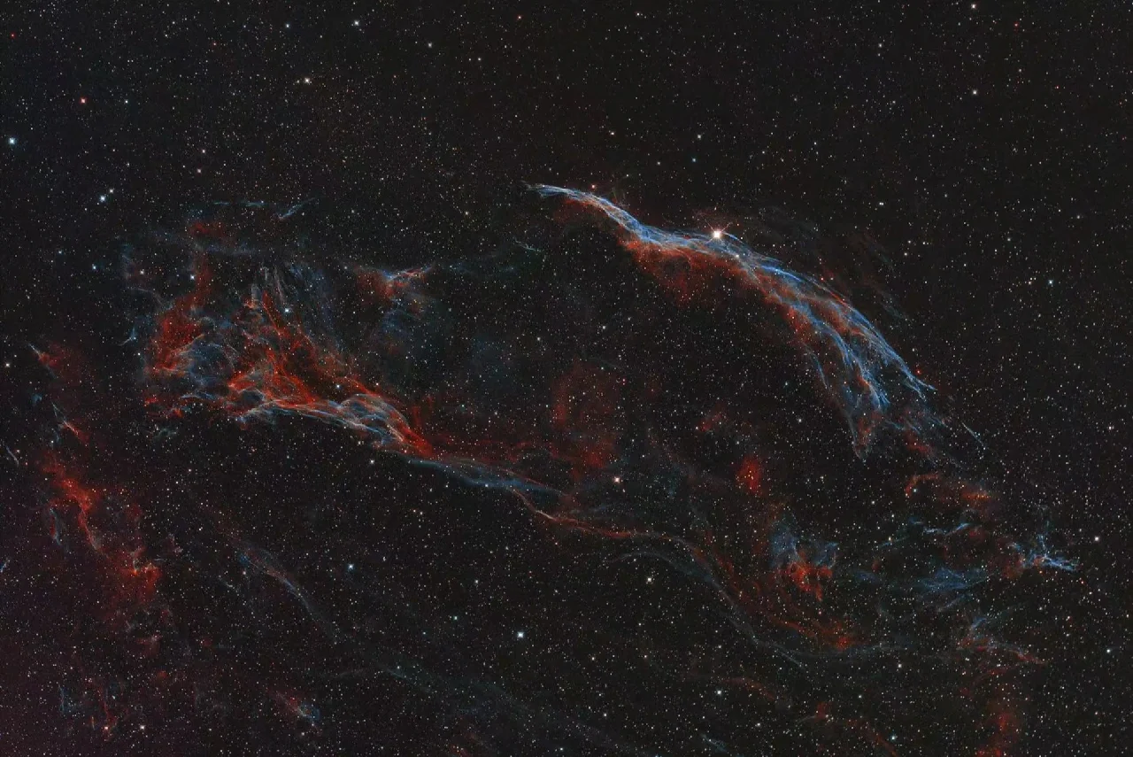星空接码客户端流星接码官网地址