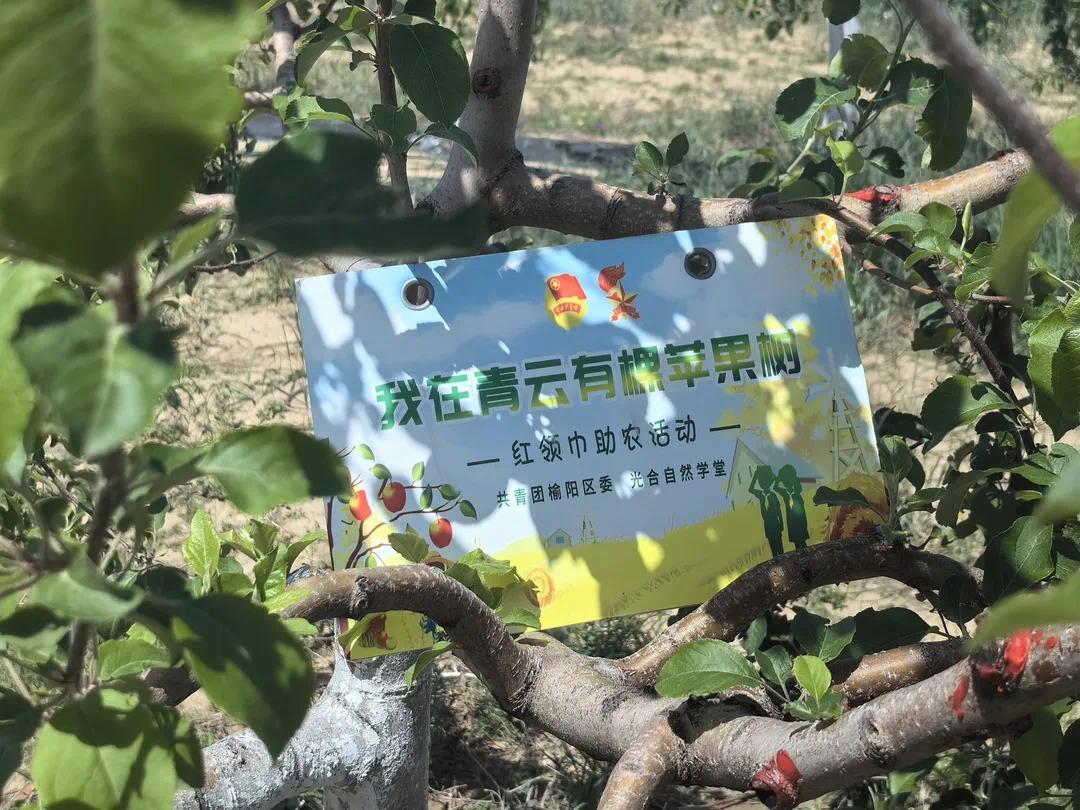 太平学堂app苹果版太平学堂网页版登录入口