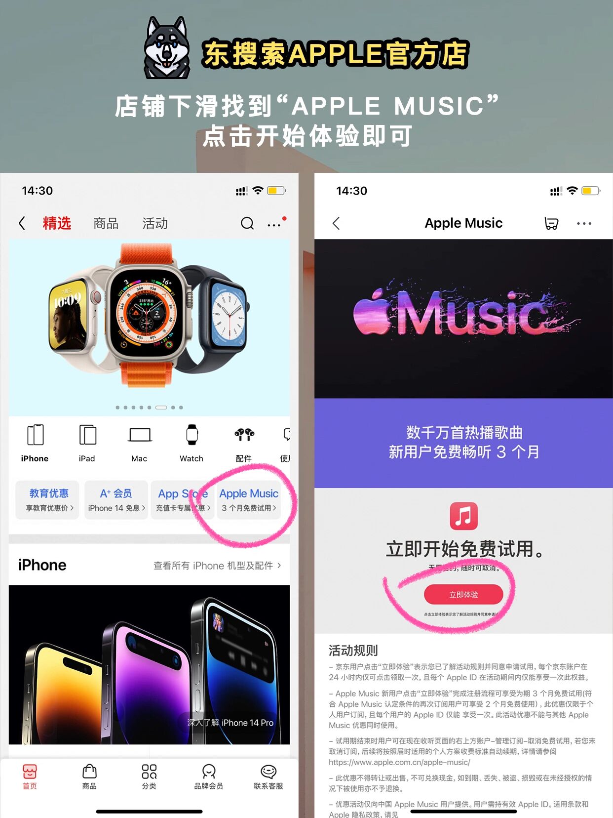 苹果超级快版苹果历代全系列-第1张图片-太平洋在线下载